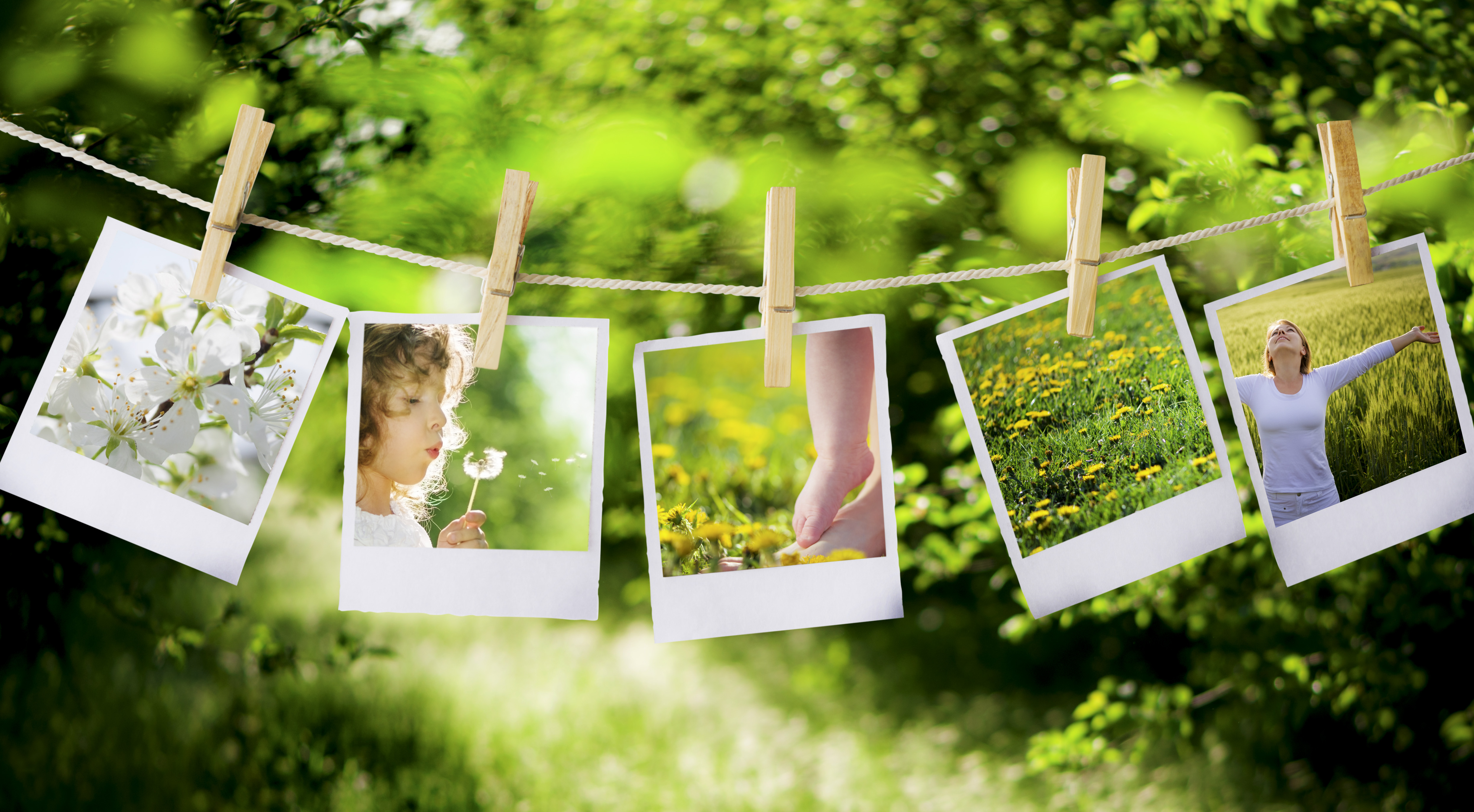 Pictures Hanging On A Clothesline