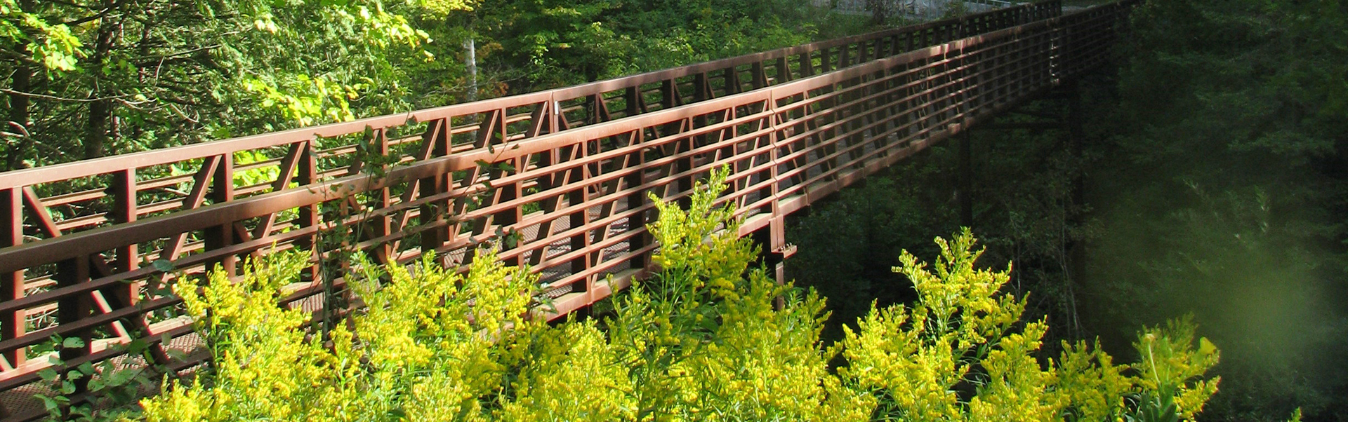 Bridge Over Canyon