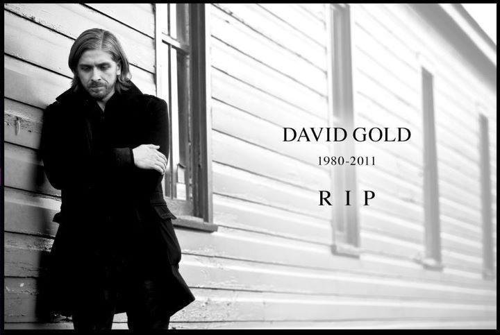 David Gold